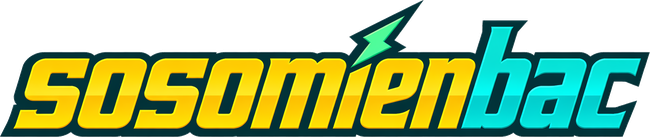 Logo sosomienbac – trang chủ